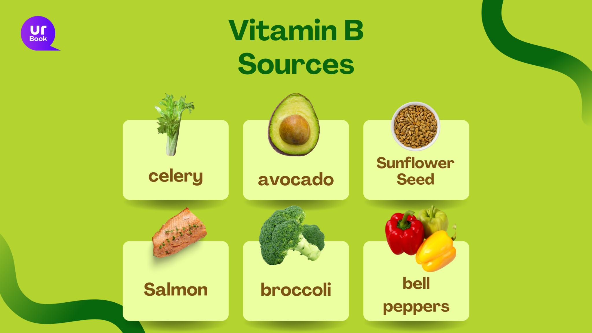 Antioxidant Vitamins - Vitamin B Sources